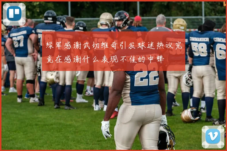 绿军感谢武切维奇引发球迷热议究竟在感谢什么表现不佳的中锋