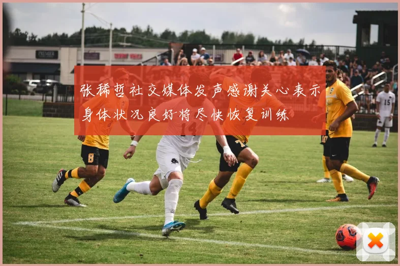 张稀哲社交媒体发声感谢关心表示身体状况良好将尽快恢复训练